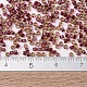 MIYUKI Delica Beads(X-SEED-J020-DB1748)-3
