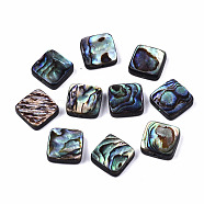 Natural Abalone Shell/Paua Shell Beads, Square, Colorful, 10x10x3.5mm, Hole: 1mm(SSHEL-T014-12A)