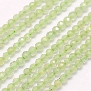 Natural Prehnite Beads Strands, Faceted, Round, 3mm, Hole: 0.5mm, about 132pcs/strand, 15.7 inch(40cm)(G-F509-30-3mm)