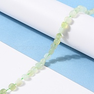 Natural New Jade Beads Strands, Nuggets, Tumbled Stone, 5~8.5x5.5~7x3.5~4mm, Hole: 0.7mm, about 64pcs/strand, 16.34 inch(41.5cm)(G-G018-51)