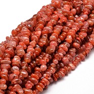 Dyed Natural Carnelian Chip Beads Strands, 5~14x4~10mm, Hole: 1mm, about 15.5 inch~16.1 inch(G-E271-74)