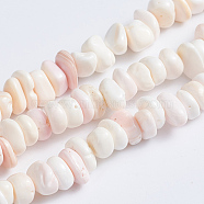 Natural Pink Shell Beads Strands, Nuggets, 5~7x5~7x2~4mm, Hole: 0.6mm, about 132pcs/strand, 15.94 inch(40.5cm)(SSHEL-L016-19)