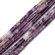 Natural Lepidolite/Purple Mica Stone Beads Strands, Column, 13~14x4mm, Hole: 1.2mm, about 29~30pcs/strand, 15.16''~15.75''(38.5~40cm)(G-F247-45)