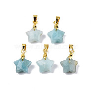 Natural Amazonite Charms, with Golden Plated Brass Findings, Faceted Star, Star: 12x12.5x5.5mm, Hole: 3.5x4mm(X-G-N326-142-08)