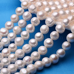 Potato Natural Cultured Freshwater Pearl Beads Strands, Beige, 11~12mm, Hole: 0.8mm, about 33~38pcs/strand, 13.7 inch~15.7 inch(PEAR-E007-11-12mm-A-01)