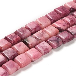Natural Dolomite Beads Strands, Dyed, Sqaure, Pink, 10x10x4.5mm, Hole: 1.4mm, about 40pcs/strand, 15.55 inch(39.5cm)(G-F765-C01-01)