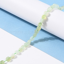 Natural New Jade Beads Strands, Nuggets, Tumbled Stone, 5~8.5x5.5~7x3.5~4mm, Hole: 0.7mm, about 64pcs/strand, 16.34 inch(41.5cm)(G-G018-51)