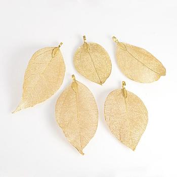 Electroplated Natural Leaf Big Pendants, with Iron Findings, Golden Plated, 70~100x30~50x1mm, Hole: 3x6mm