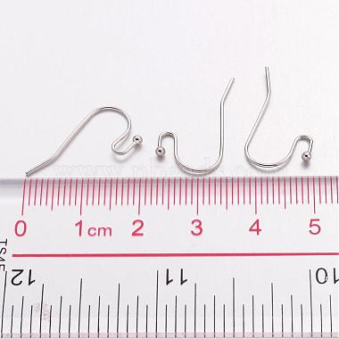 Platinum Color Brass Hook Ear Wire(X-J0JQN062)-3