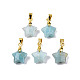 Natural Amazonite Charms(X-G-N326-142-08)-1