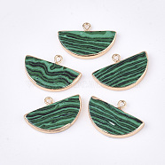 Electroplate Synthetic Malachite Semi Circle Pendants, with Iron Findings, Half Round, Golden, 17~18x27x3~4mm, Hole: 1.8mm(G-S344-87B)