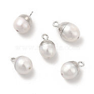Natural Pearl Pendants, Oval Charms, with Brass Loops, White, Platinum, 13~16x8~10x8~10mm, Hole: 1.8mm(PEAR-P004-45P)