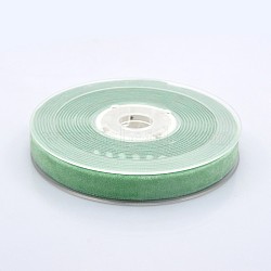 Polyester Velvet Ribbon for Gift Packing and Festival Decoration, Pale Green, 1/8 inch(4mm), about 100yards/roll(91.44m/roll)(SRIB-M001-4mm-564)