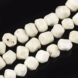 Sea Bamboo Coral(Imitation Coral) Beads Strands, Nuggets, Creamy White, 13~18x12~16x13~15mm, Hole: 1mm, about 265pcs/1000g(CORA-T006-02)