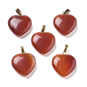 Dyed & Heated Natural Carnelian Pendants, with Brass Findings, Heart, 22~23x20x5mm, Hole: 6.5x3.5mm