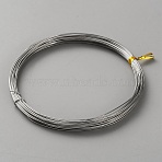 316 Stainless Steel Wires, Round, Stainless Steel Color, 21 Gauge, 0.7mm, about 32.81 Feet(10m)/Roll(TWIR-WH0002-23G-P)