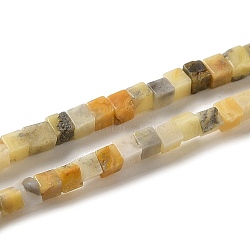 Natural Crazy Lace Agate Beads Strands, Cube, 2~2.5x2.5~3.5x2.5~3mm, Hole: 0.4mm, about 157~165pcs/strand, 14.96~15.75''(38~40cm)(G-B064-A03)