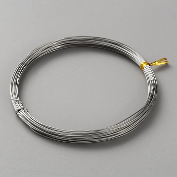 316 Stainless Steel Wires, Round, Stainless Steel Color, 21 Gauge, 0.7mm, about 32.81 Feet(10m)/Roll