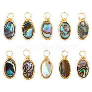 10Pcs Copper Wired Natural Abalone Shell/Paua Shell Pendants, Oval Charms, Light Gold, 16~18mm, Hole: 3~3.5mm(PALLOY-FI00001)