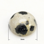 Gemstone Cabochons, Half Round/Dome, Dalmatian Jasper, 8x3.5mm(G-H1596-FR-8mm-02)