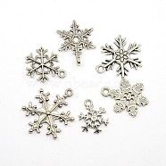 Mixed Vintage Tibetan Style Alloy Snowflake Pendants, Cadmium Free & Lead Free, Antique Silver, 17~24x13~19x1.5~2mm, Hole: 2mm, 6pcs/set(TIBEP-X0017-AS-RS)