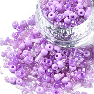 Glass Seed Beads, Mixed Style, Mixed Shapes, Medium Orchid, 1~7x2~4mm, Hole: 0.7~1mm, about 450g/pound(SEED-S059-009)