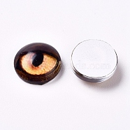 Glass Cabochons, Half Round/Dome with Animal Eye Pattern, Sandy Brown, 17.9x5mm(GLAA-WH0015-22D-08)
