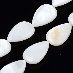 Natural Sea Shell Beads Strands, Drop, Creamy White, 21~22x13~14x3~4mm, Hole: 1.5mm, about 17pcs/strand, 14.06 inch(35.7cm)(SSHEL-Q296-43)