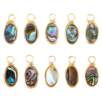 10Pcs Copper Wired Natural Abalone Shell/Paua Shell Pendants, Oval Charms, Light Gold, 16~18mm, Hole: 3~3.5mm