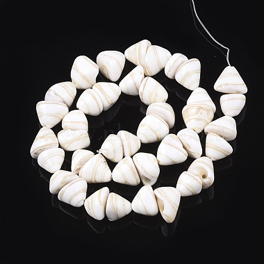 Chapelets de perles de coquille en spirale(SHEL-T011-05)-2