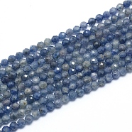 Natural Iolite/Cordierite/Dichroite Beads Strands, Faceted, Round, 3.5mm, Hole: 0.7mm, about 120pcs/strand, 15.16 inch(38.5cm)(G-G823-15-3.5mm)