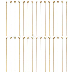 GOMAKERER 150Pcs Brass Ball Head Pins, for Jewelry Making, Golden, 22 Gauge, 35~35.5x0.6mm, Head: 2mm(KK-GO0001-48)