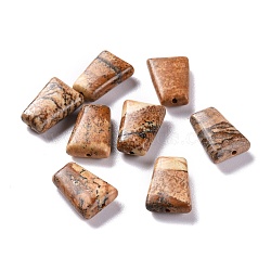 Natural Picture Jasper Beads, Faceted, Trapezoid, 14x10x4.5mm, Hole: 1.2mm(G-M379-37)