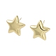 Star Brass Stud Earrings(EJEW-M245-15G)-1