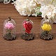 DIY Pendant Kits(DIY-CA0006-66B)-5