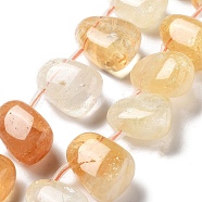 Natural Citrine Beads Strands, Teardrop, Top Drilled, 22.5~26x14.5~19x12~14.5mm, Hole: 0.9mm, about 8~9pcs/strand, 7.48''~8.66''(19~22cm)(G-P528-E02-01)