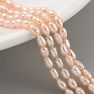 Natural Cultured Freshwater Pearl Beads Strands, Rice, Grade 6A, PeachPuff, 2.5~3mm, Hole: 0.3mm, about 40~41pcs/strand, 7.48''~7.68''(19~19.5cm)(PEAR-P062-02A)