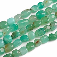 Natural Chrysoprase Beads Strands, Tumbled Stone, Nuggets, 10~15x7.5~11.5x7.5~12.5mm, Hole: 1mm, about 36pcs/Strand, 15.67 inch(39.8 cm)(G-D0002-D65)