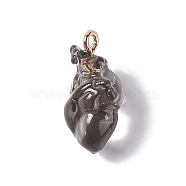 Transparent Resin Pendants, Anatomical Heart Charms, with Golden Plated Iron Loops, Gray, 20.5~21.5x11.5x11mm, Hole: 2mm(RESI-E028-01G-02)