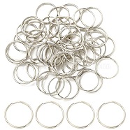 50Pcs Iron Split Key Rings, Keychain Clasp Findings, Platinum, 25x2.5mm, Inner Diameter: 22mm, Single Wire: 1.25mm(FIND-YW0001-54)