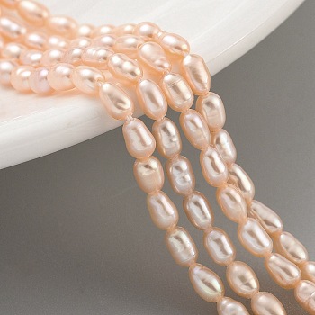 Natural Cultured Freshwater Pearl Beads Strands, Rice, Grade 6A, PeachPuff, 2.5~3mm, Hole: 0.3mm, about 40~41pcs/strand, 7.48''~7.68''(19~19.5cm)