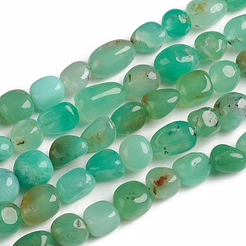 Natural Chrysoprase Beads Strands, Tumbled Stone, Nuggets, 10~15x7.5~11.5x7.5~12.5mm, Hole: 1mm, about 36pcs/Strand, 15.67 inch(39.8 cm)