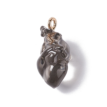 Transparent Resin Pendants, Anatomical Heart Charms, with Golden Plated Iron Loops, Gray, 20.5~21.5x11.5x11mm, Hole: 2mm