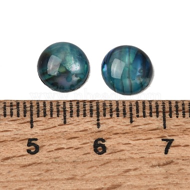 Abalone Shell/Paua Shell Cabochons(SSHEL-K003-8MM)-3