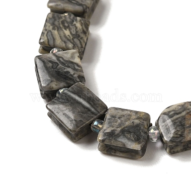 Natural Map Stone Beads Strands(G-L596-A03-01)-4