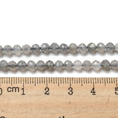 Faceted Round Natural Labradorite Bead Strands(G-I156-03-4mm)-6