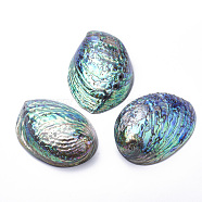 Natural Paua Shell Beads, 100~120x80~90x30~40mm, Hole: 2~6mm(SSHEL-Q298-22)