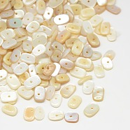 Dyed Natural Freshwater Shell Chips Beads, Antique White, 7~10x5~7x1~4mm, Hole: 1mm, about 260pcs/50g(X-SHEL-A003-D02)