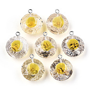 Transparent Epoxy Resin Pendants, with Natural Shell Inside and Platinum Plated Iron Loop, Diamond Shape, Gold, 23~24x20x13mm, Hole: 2mm(CRES-N025-11C)