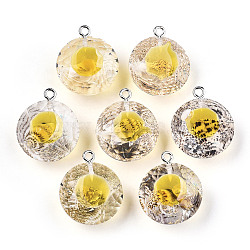 Transparent Epoxy Resin Pendants, with Natural Shell Inside and Platinum Plated Iron Loop, Diamond Shape, Gold, 23~24x20x13mm, Hole: 2mm(CRES-N025-11C)